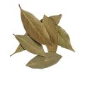 Tezz Patta /Tez Paat/Bay leaf 20g. 
