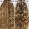 DUOLOGI Intense Repair Shampoo For Dry Damaged Hairs 250ml Skin Care for your Hair. 