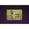 Duck and Duckling Laptop Back Skin Wallpaper -Laptop Skin Sticker Cover Art Decal Protector. 