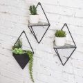 Indoor Wall Planter and Wooden Wall Display Shelves with Black Metal Frames Metal. 