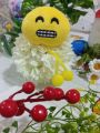 Grinning Face with Smiling Eyes with Dori and POM POM /Emoji Stuff Keychain. 