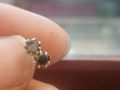 5Pairs Chandi Black stud earrings, Small Silver stud earrings, screw Back, Tiny studs, cz studs, cartilage, helix, tragus, earring set. 