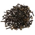 200x Colorful Metal Round Head Paper Fasteners Brads for Scrapbook DIY Craft. 