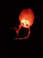 Pack of 1,3,5,10,15,20 Pieces Paper Sky Lanterns for Functions | Sky Lantern Pack of Pcs | Birthday Celebrations | Wedding Celebrations, Birthday Parties,. 