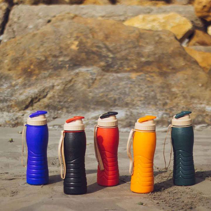 Apollo Spring Thermal Bottle 500ml Multi Color