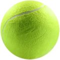 German Cricket Tape Ball Bat High Quality 2024 Edition German Tape Ball Bat Pro Strike With Free Tape Ball Gift  Xelme Enterprises. 