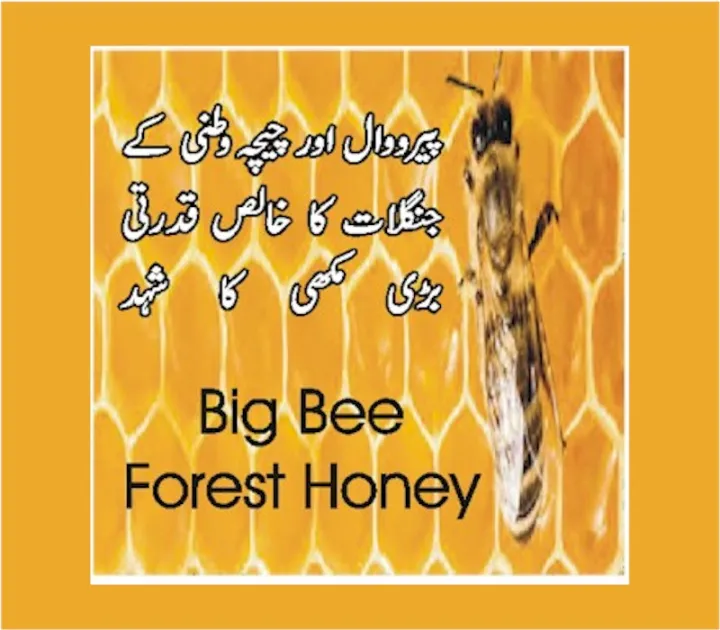 Big%20Bee%20Forest%20Honey%20(Pure%20and%20Natural)%20-%20500%20Gram%20-%20Image%202