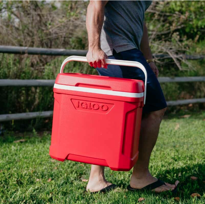 Igloo Profile II 30 Hard Cooler 30QT USA