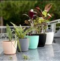 Multi color Plant Pots with Drainage - 7/6.6/6/5.3/4.8 Inches Home Decor Flower Pots for Indoor & Outdoor Plants - Pack of 5 Plastic Planters for Indoor Indoor & Outdoor Plants, Cactus, Succulents Pot. 