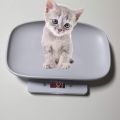 Digital Animal Scale For Dog and Cat. 