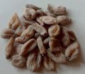Salab misri | Salam misri | misri | 10 Gram. 