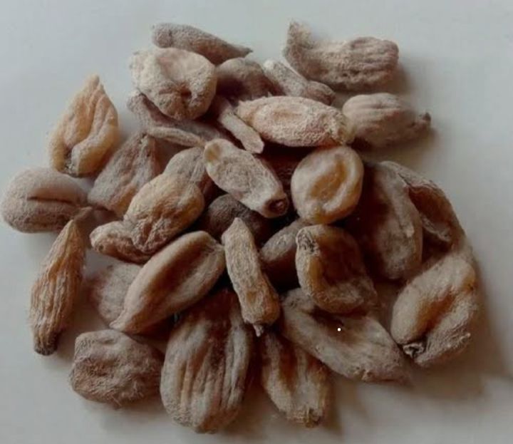 Salab%20misri%20%7C%20Salam%20misri%20%7C%20misri%20%7C%2010%20Gram%20-%20Image%202