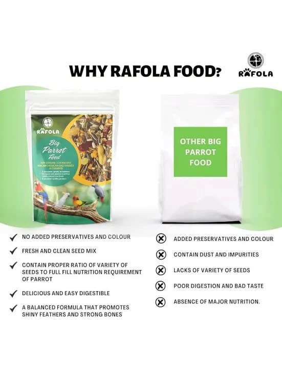Big%20Parrot%20Food%20-%20Rafola%20Premium%20Bird%20Food%20for%20Exotic%20Birds%20(1%20Kg%20Bag)%20%7C%20Long-Lasting%20Nourishment%20and%20Optimal%20Health%7C%20High-Variety%20Formula%20%7C%20Mix%20Blend%20-%20Image%204