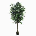 Imported artificial Ficus tree with black Planter. 