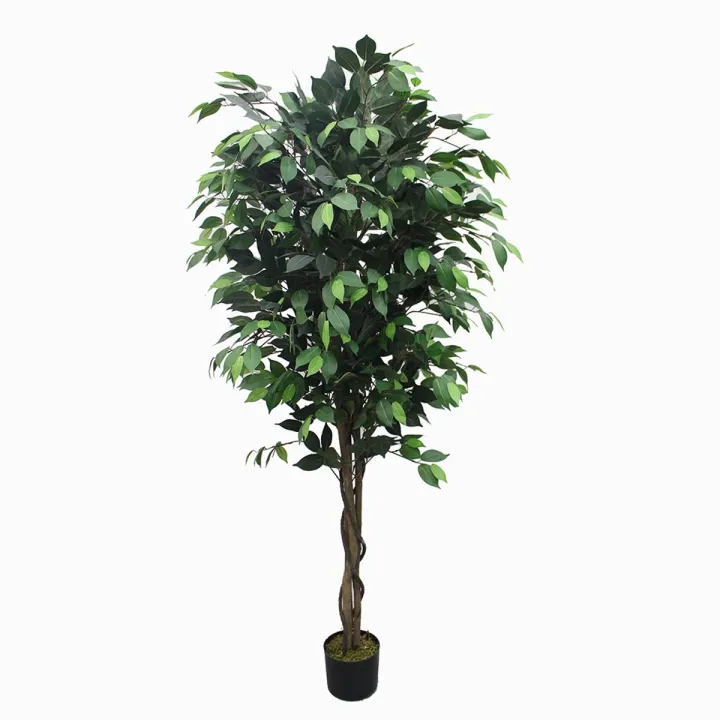 Imported%20artificial%20Ficus%20tree%20with%20black%20Planter%20-%20Image%202