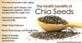 Original Chia Seeds For Weight Loose, 100 Grams Pack. 
