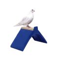 Pigeon Perch, Bird Rest Stand, Perch, Stand, Pigeon(pack of 12). 