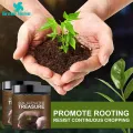 Green Home Soil Activator Improve Germination Rate Soil Activated Treasure Activator. 