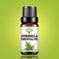 Herbology Citronella Aromatherapy Essential Oil 100% Pure Therapeutic Grade, Steam Distilled, 100% Pure, Vegan, Aromatherapy, Diffuser, Ceramic Diffuser, Pure, Concentrated, EO, Aroma Diffuser. 