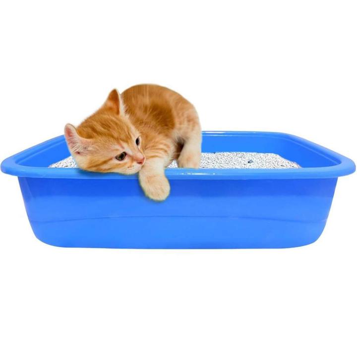 Cat Litter Tary Only for Kittens