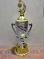 top best reward golden& silver plastic trophy for cricket,football,badminton. 