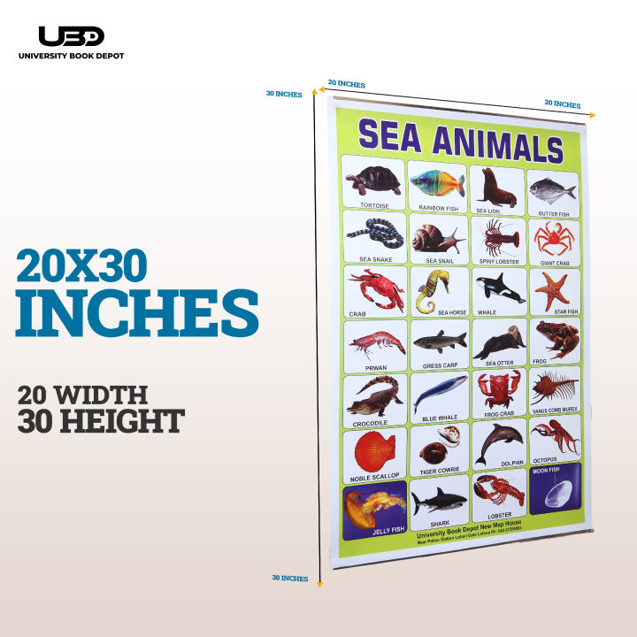 Sea%20Animals%20Wall%20charts%20For%20classroom%20%7C%20High%20Quality%20Sea%20Animals%20Chart%20on%20200%20grams%20Laminated%20Card%20%7C%20Preschool%20Decoration%20-%20Image%202