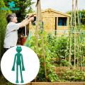 Branch Support Adorable Frog-shaped Plant Ties for Garden Enthusiasts Set of 10 Reusable Cable Ties for Tree Branch Plant Support. 