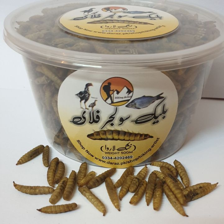 Bsf%20Dry%20Meal%20Worms%20-%20Image%205