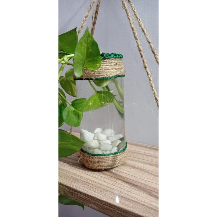 Glass Bottle with rope Designing for Money Plants & other Water Plant used for Decorate room ,Lounge,Table with Natural plant