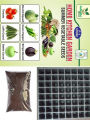 Combo Pack of 6 F1 Hybrid Summer Vegetables seeds With 64 holes seedling tray & 500 gram Seeds Starting Potting Mix. 