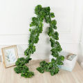 12Pcs Artificial Ivy Garland for Wedding Backdrop Wall Jungle Party. 