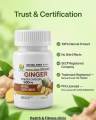 Ginger Powder Capsules 60 | Adrak Herbal | 100% Pure & Natural | Digestive & Immunity Support. 