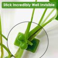 Techmanistan Pack of 10 - Self-Adhesive Plant Climbing Wall Fixture Clips, Vine Fixer Invisible Hook Plants Traction Clip. 