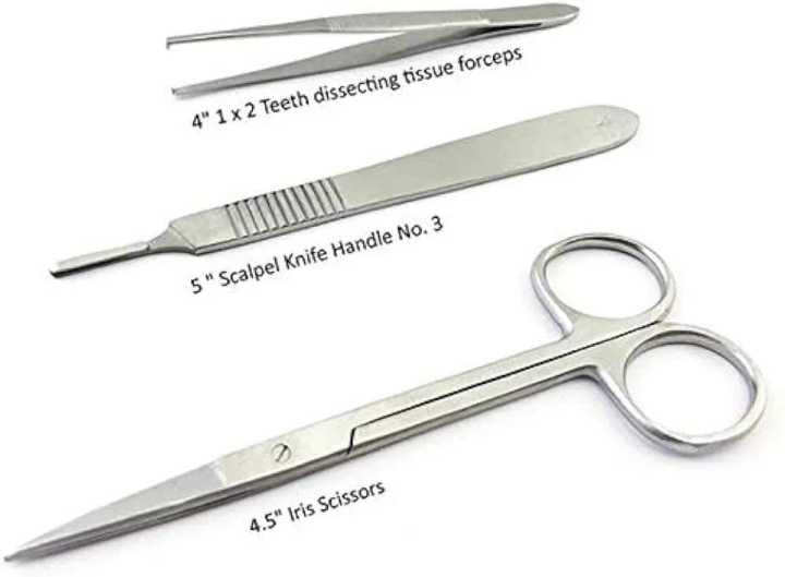professional%20lab%20dissection%20set,%2022-Piece%20Professional%20Dissection%20Kit%20for%20Biology%20Students%20%E2%80%93%20Stainless%20Steel%20Tools%20for%20Medical,%20Veterinary,%20and%20Anatomy%20Studies%20-%20Image%204