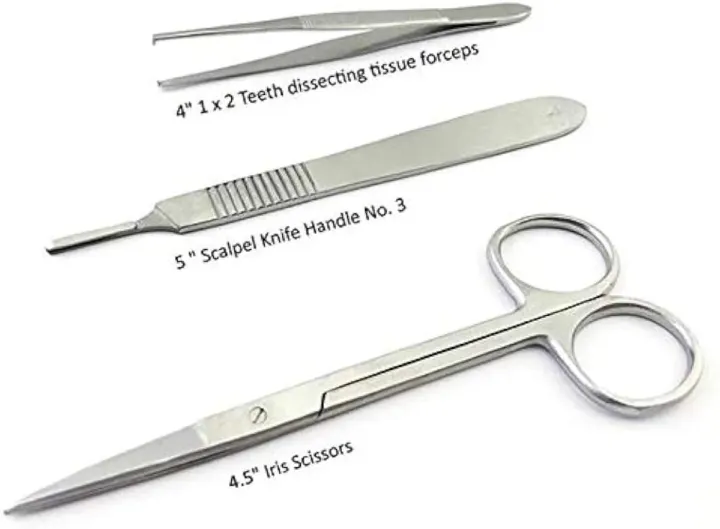 professional%20lab%20dissection%20set,%2022-Piece%20Professional%20Dissection%20Kit%20for%20Biology%20Students%20%E2%80%93%20Stainless%20Steel%20Tools%20for%20Medical,%20Veterinary,%20and%20Anatomy%20Studies%20-%20Image%204