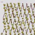 Expandable Garden Fencing Trellis Support Lattice Garden Yard Deco. 