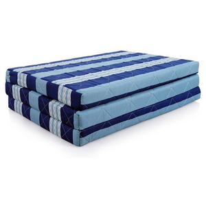 Hard Foam Fold _A_ Bed in 4 inches