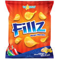 Fillz Mirch Masala 21 GM. 