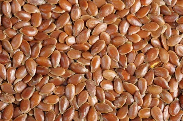FLAX%20SEEDS%20250G%20-%20Image%202