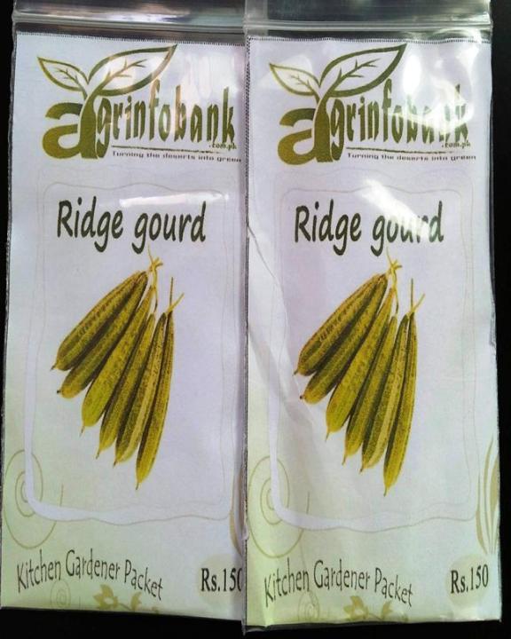 Ridge%20gourd%20seeds%20for%20kitchen%20gardeners%20-%20Image%206
