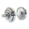 Dumbbell PLate. 