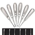 Premium Quality Dental Luxation Elevators Set of 6 Straight Curved Extraction Tools. 