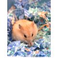 【COD Hamster Paper Cotton Sawdust Bedding Cotton Compressed Paper Strip Bedding Golden Bear Hedgehog Pet Water Absorption and Deodorization. 