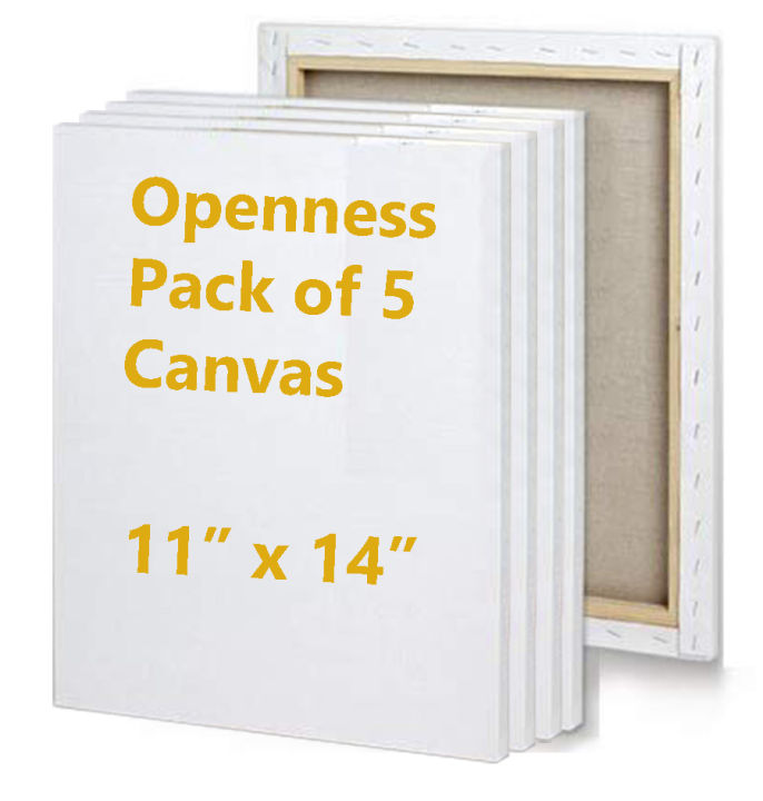 Openness - Pack of 5 – 11x14 Inch Primed Canvases for Painting, 100% Cotton Stretched Canvas, Art Supplies for Acrylic Pouring, Oil Painting and Watercolor, Acid Free Canvas - Art Panel - Small Canvas – Artist