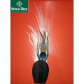 Feather Plume for Hunza Traditional Cap for Men. 