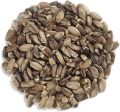 Organic Whole Milk Thistle Seed 100 gm. 