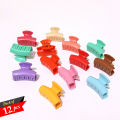 Lesto 12 pieces small Plastic Hair clips catcher. 