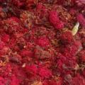 Pomegranate Flower Powder 100 Grams. 