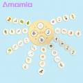 Amamia Life Cycle Puzzle Simulated Life Cycle Jigsaw Puzzles Plant Growth Matching Game. 