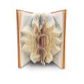 Liberty Books | Artfolds: Sun - Treasure Island & Other Adventures by Robert Louis Stevenson (100% Original). 